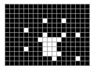 A binary image with white and black pixels